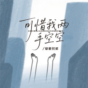 可惜我两手空空