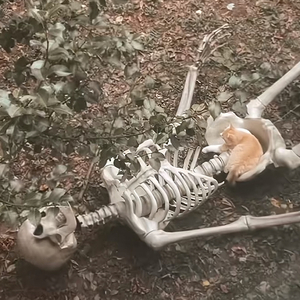 我突然emo了然后我写了一段-1.wav