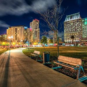 只见梅花不见人