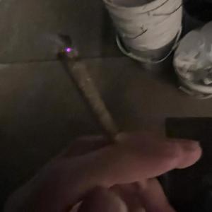 molly