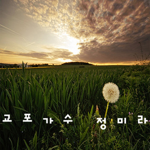 바다가 육지라면