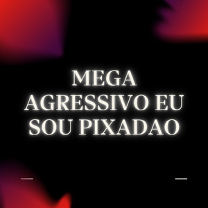 MEGA AGRESSIVO EU SOU PIXADÃO (Remix)