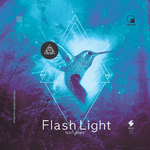 Flashlight (Original Mix)