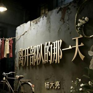 离开部队的那一天 (杨大亮 Remix)