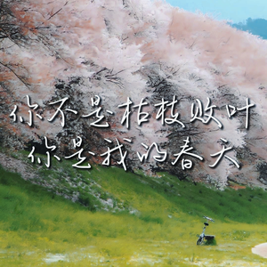 你不是枯枝败叶，你是我的春天