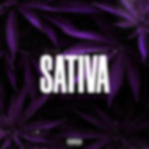 Sativa