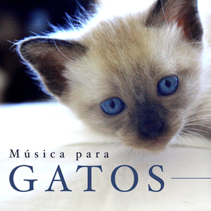 Nature Sounds for Deep Sleep