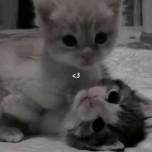 been thru (feat. Fat Cone)