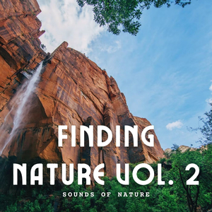 Eco Friendly Environment