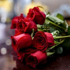 我也渴望有人疼