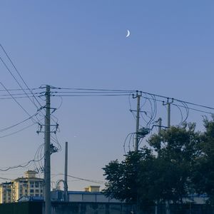 我在集市兜售春天