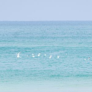 언젠가 우리에게 우주였던