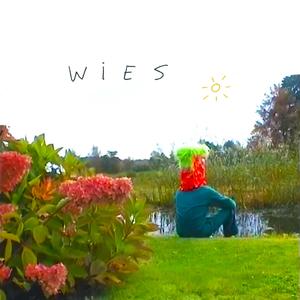 Wies