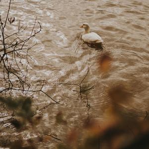 开心的假期微笑阳光休闲