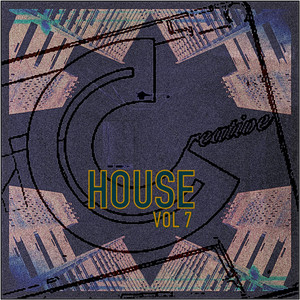 I'll House You (Funky Mix)