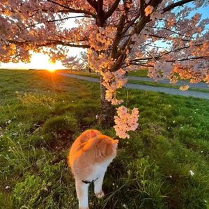 小宇1723646737434_20240814_224623