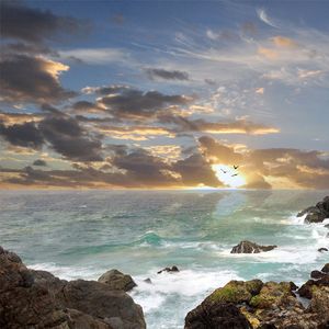 钱那么靠谱都有假 (烟嗓版)