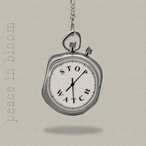 stopwatch