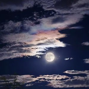 无法预料的告别