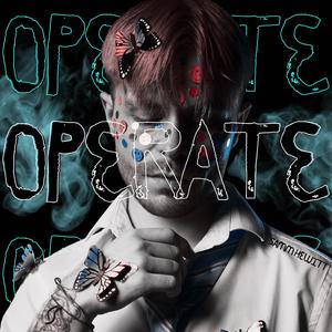 OPERATE
