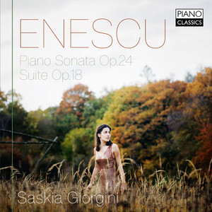 Piano Sonata No. 3 in D Major, Op. 24 No. 3: II. Andantino cantabile