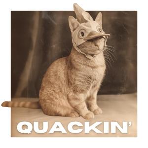 Quackin'