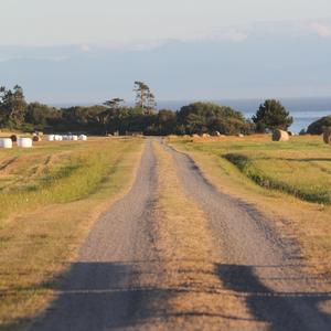 Снится мне деревня