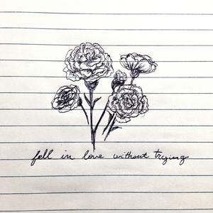 Fell in Love Without Trying