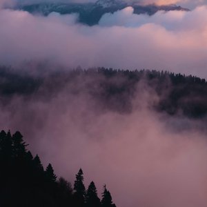 Distant Horizon