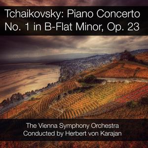 Piano Concerto No. 1 in B-Flat Minor, Op. 23: I. Allegro non troppo e molto maestoso - Allegro con spirito