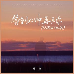 等到心中再无你 (DJBanan版)