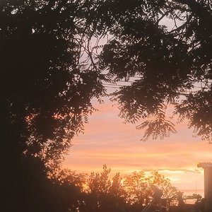暮色_MP3