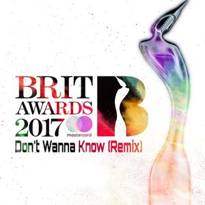 Don't Wanna Know (Remix)