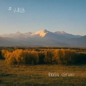 爱的回音