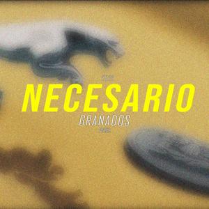 Necesario