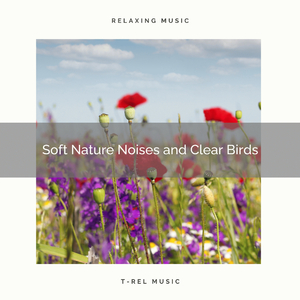 Feel Relax with Unique Nature Tunes for Relax