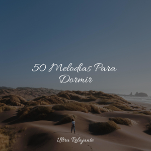 Camino De La Cola De Algodón