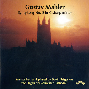 Symphony No. 5 in C-Sharp Minor (Arr. D. Briggs for Organ):III. Scherzo
