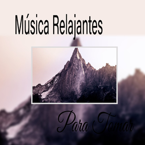 Devuélvenos la Calma