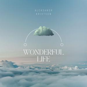 Wonderful Life