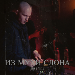 Из мухи слона