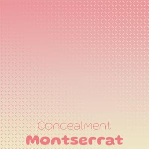 Polished Illuminating