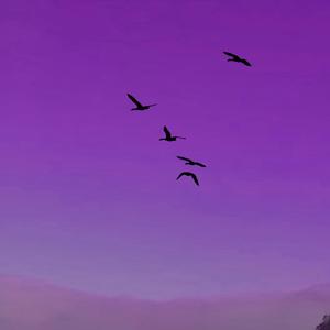 Swan Dive