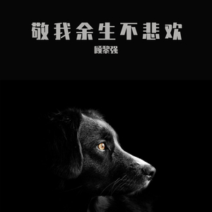 敬我余生不悲欢