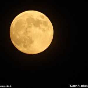 屠龙勇士（翻自 杨千嬅）