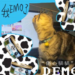 用封印的神之右眼点燃这个世界