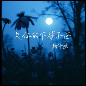 欠你的下辈子还