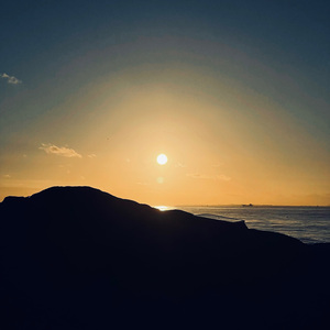 アルジャーノン : ヨルシカ cover