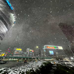 以爱之名 你还愿意吗