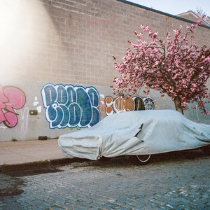 Pin (Spark Chaser II)